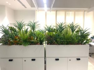 رقم شركة تنسيق حدائق بالرياض