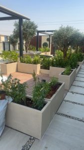 تنسيق حدائق بالرياض