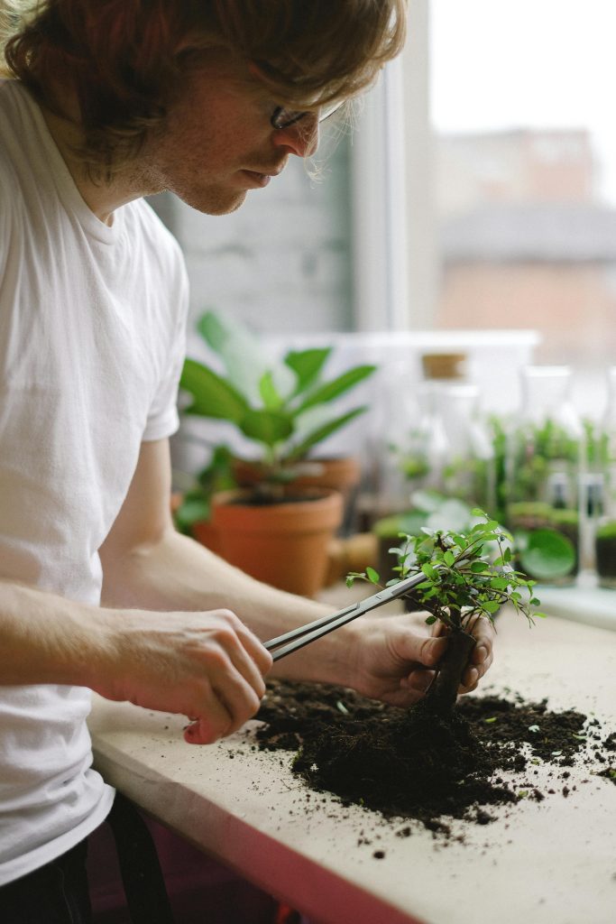 ???? ????? ??????? ??????